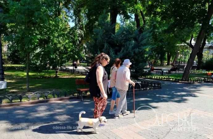 Август в Горсаду