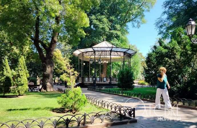 Август в Одессе, Ротонда