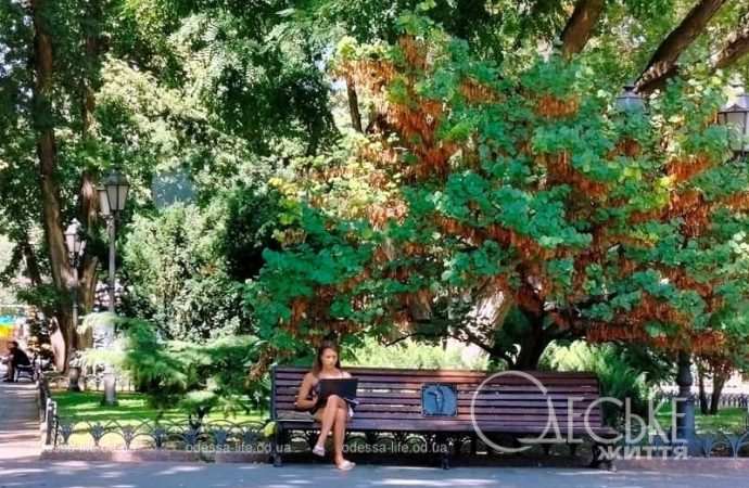 Девушка в одесском Горсаду