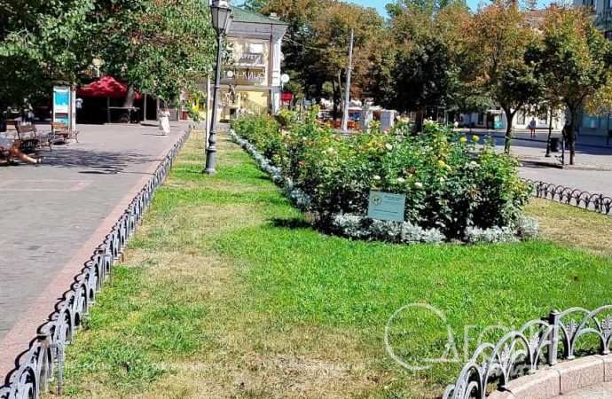 одесский Горсад летом