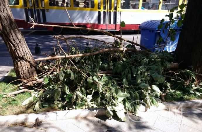 Август в Одессе, трамвай и ветка