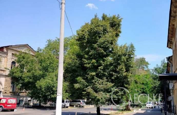 Август в Одессе