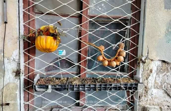 Центр Одессы в августе, декор в окне