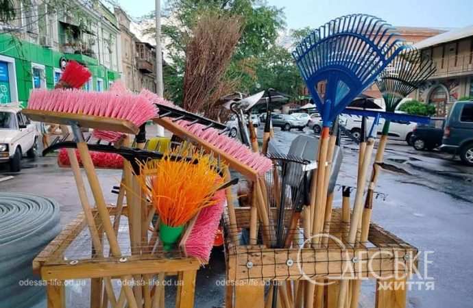 Центр Одессы в августе, метелки