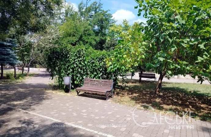 В одесском парке Шевченко, скамейка