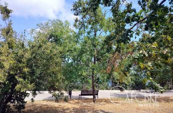 Август в одесском парке