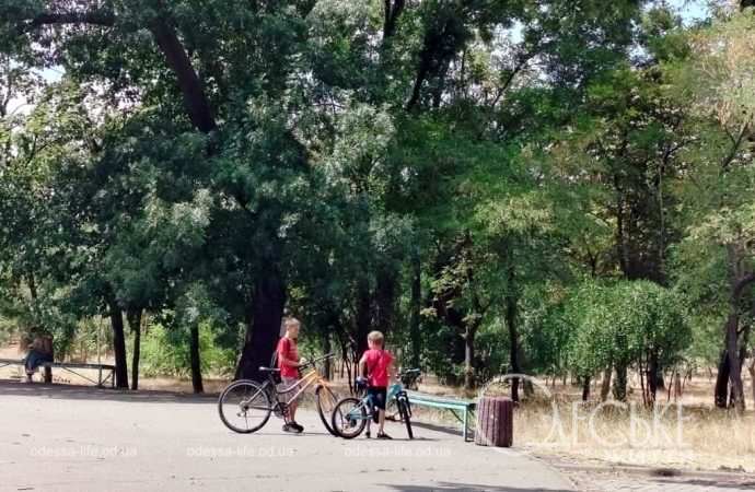Велосипедисты в одесском парке