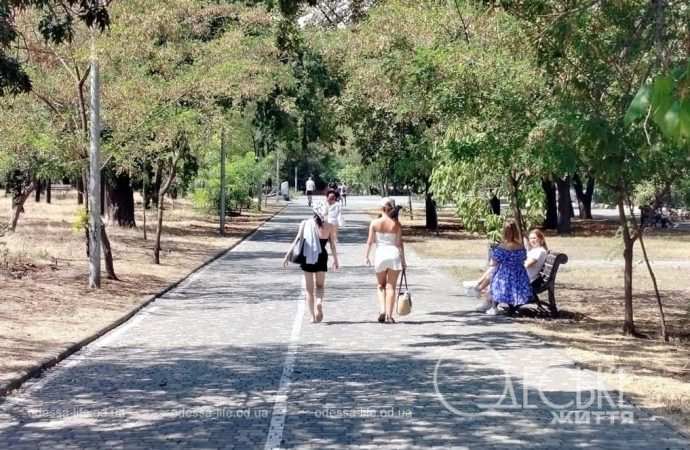 Аллея парка Шевченко в Одессе
