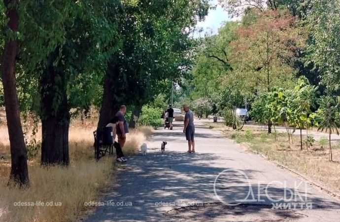 В одесском парке Шевченко, в тени