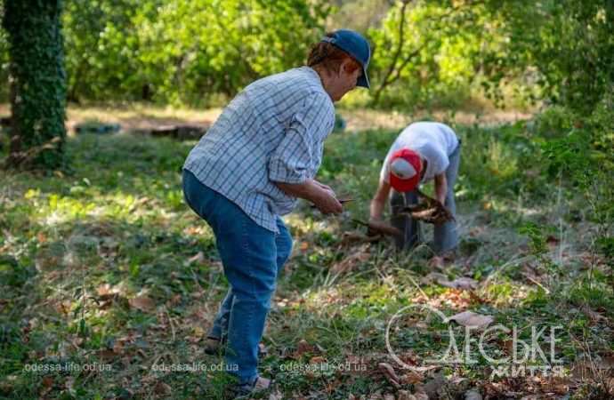 Одеський ботанічний сад запрошує і попрацювати, і хорошу музику послухати (фоторепортаж)