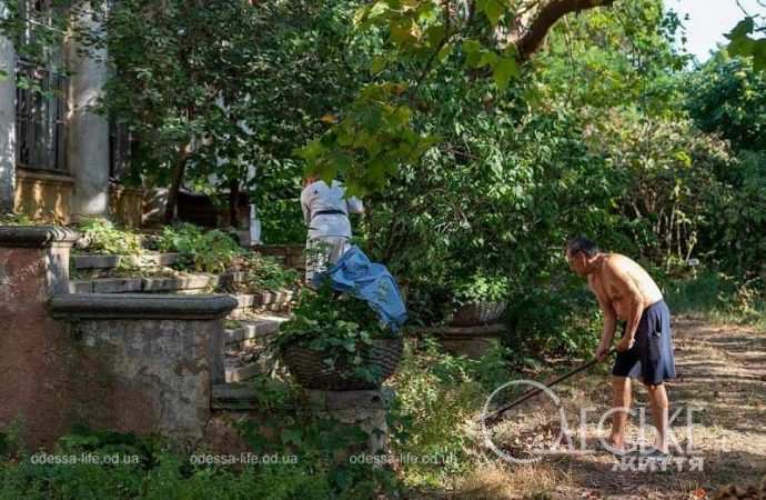 Помощь одесских волонтеров Ботаническому саду