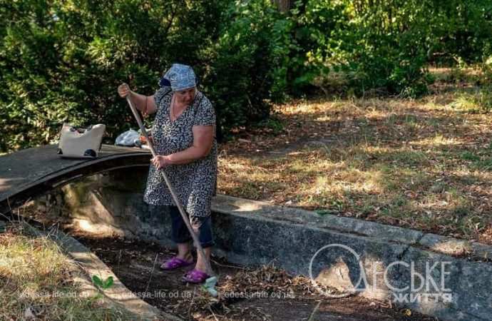 В Одесском ботаническом саду трудятся волонтеры