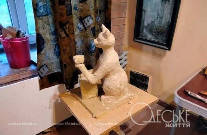 Новый котик4