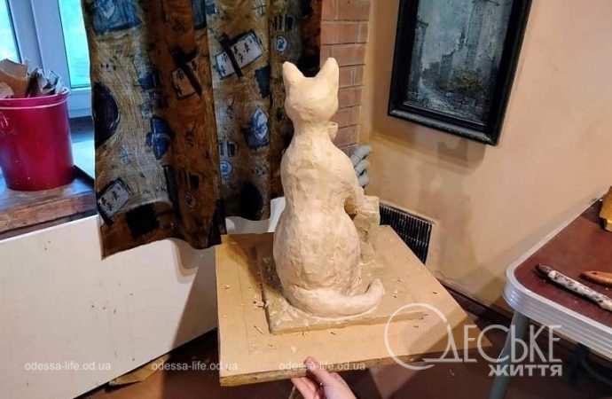 Новый котик5