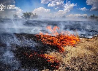 Масштабный пожар под Одессой: экологи подсчитали ущерб