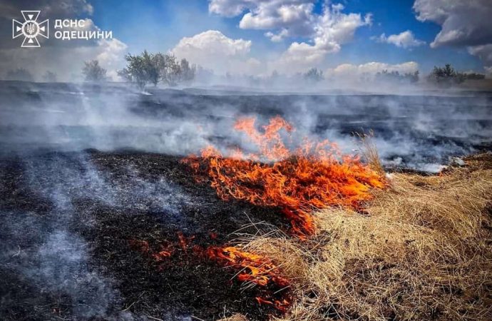 Масштабный пожар под Одессой: экологи подсчитали ущерб