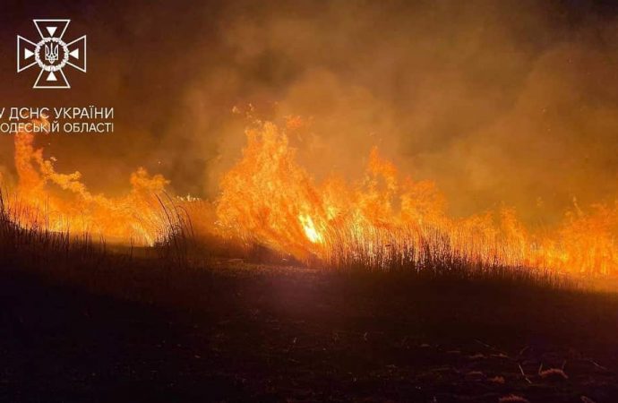 Під Одесою горять плавні, загасити вогонь неможливо: чи є загроза прикордонному переходу в Маяках