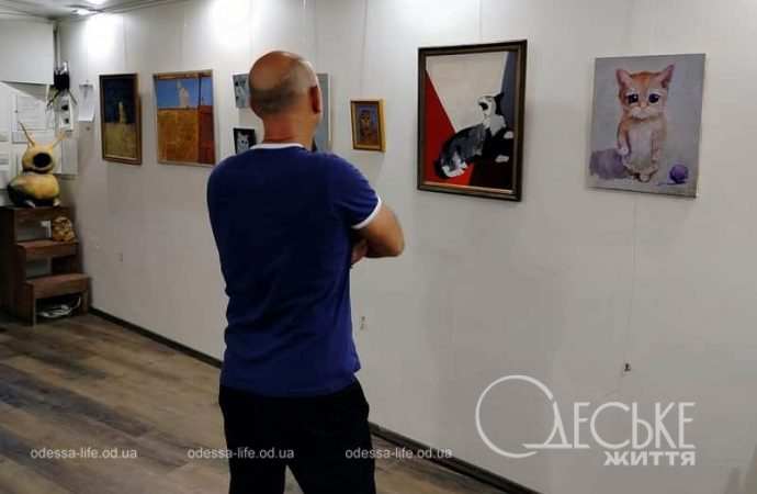 Выставка «АНТИстресс», посетитель