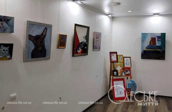 Выставка «АНТИстресс», пространство "Диалоги"