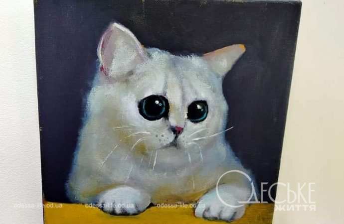 Выставка «АНТИстресс», грустный котик