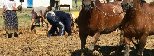 Усім селом місити чамур: як наші пращури будували хати з глини та соломи