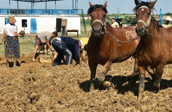 Усім селом місити чамур: як наші пращури будували хати з глини та соломи