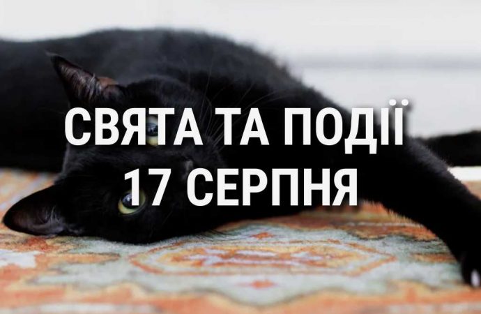 День чорного кота та медоносних бджіл: що ще святкують 17 серпня