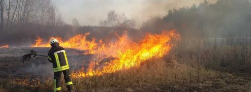 52 пожежі в Одеській області за добу: що і де горіло