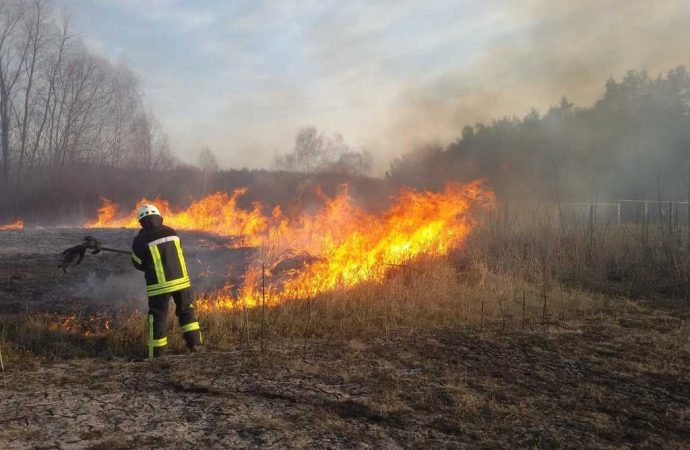 52 пожежі в Одеській області за добу: що і де горіло