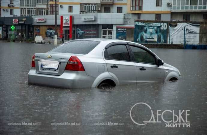 Лмвень на Балковской в Одессе