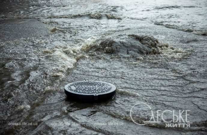 Лмвень на Балковской в Одессе, шина