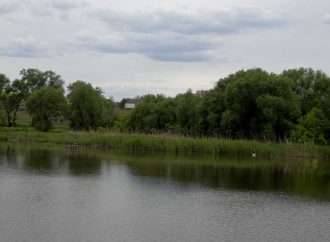 Про село Дубинове: вікові дуби, віники та цілюще джерело