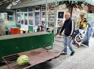 Что происходило в Одессе на прошлой неделе: новинка в Пассаже, удивительные витрины и сентябрьская красота (фоторепортаж)