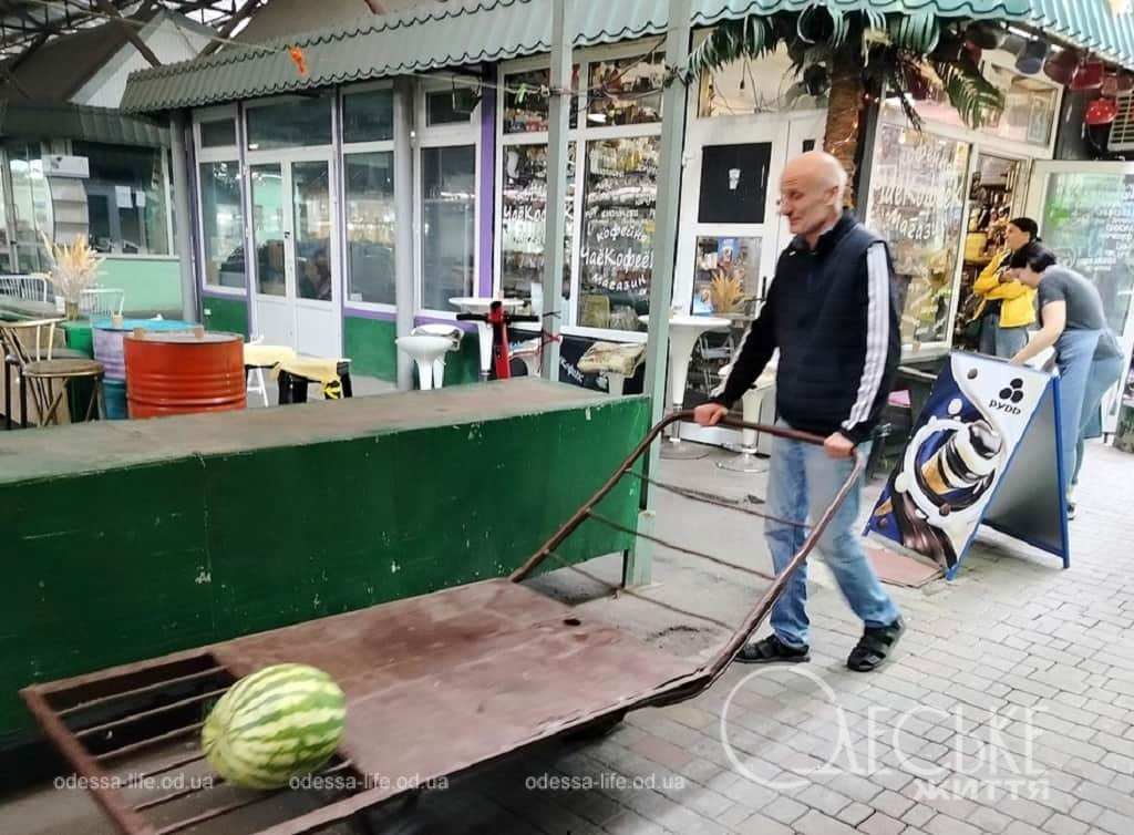 Фото дня: последний арбуз