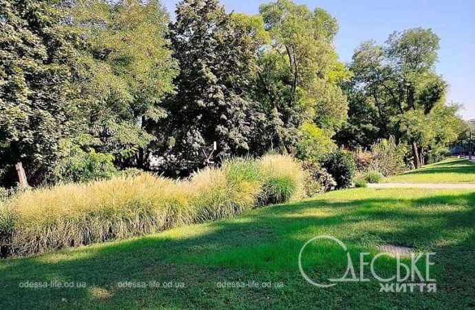 Одесский Греческий парк, поляна