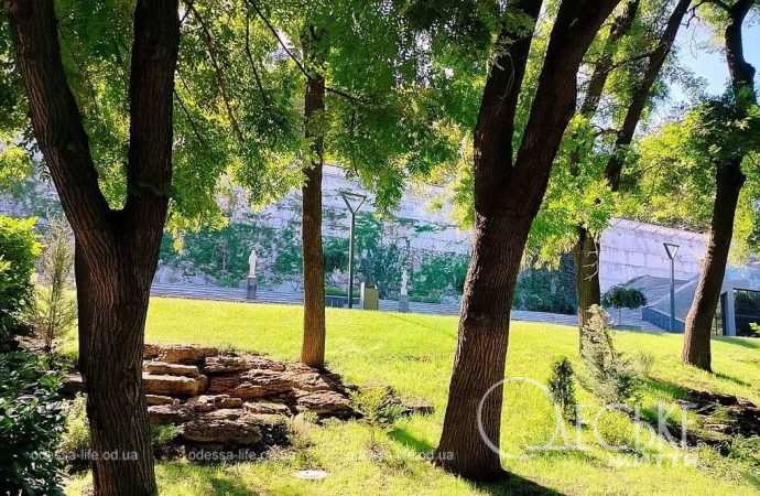 Одесский Греческий парк, деревья