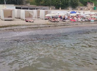 В Одесі морська вода набула бурого кольору та світиться вночі: що відбувається