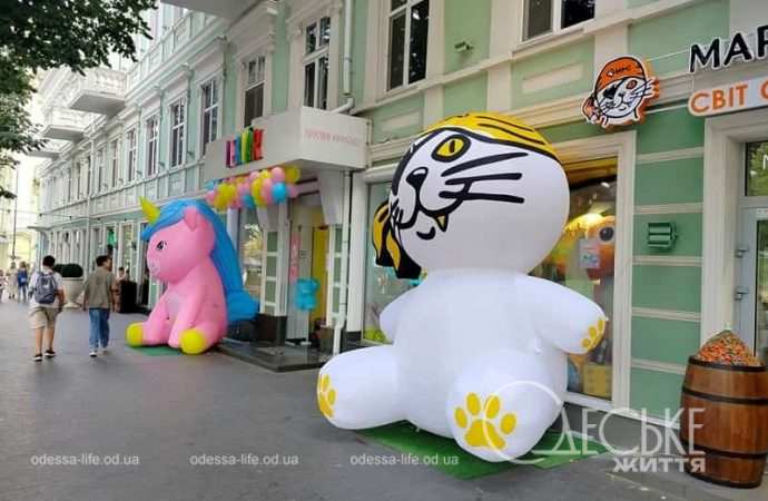 1 сентября в Одессе, кот-корсар