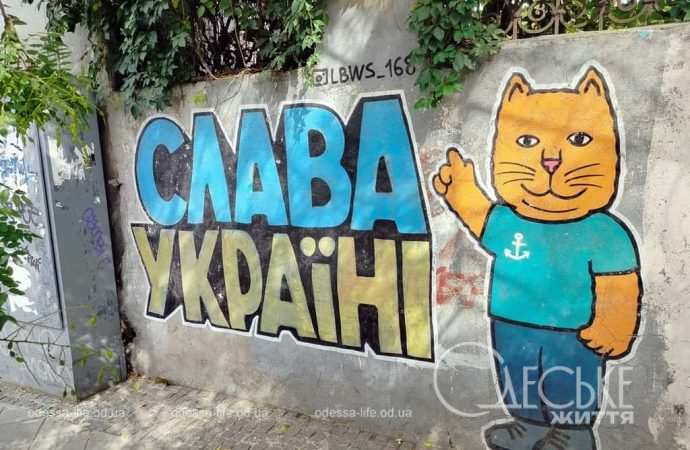 1 сентября в Одессе, кот-патриот