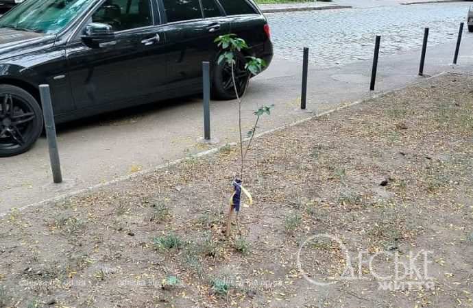 1 сентября в Одессе, авто на дороге