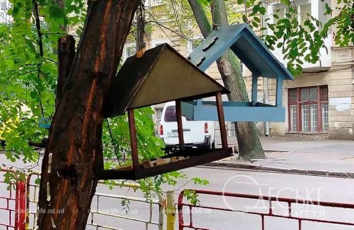 Одесса после осеннего ливня, кормушки