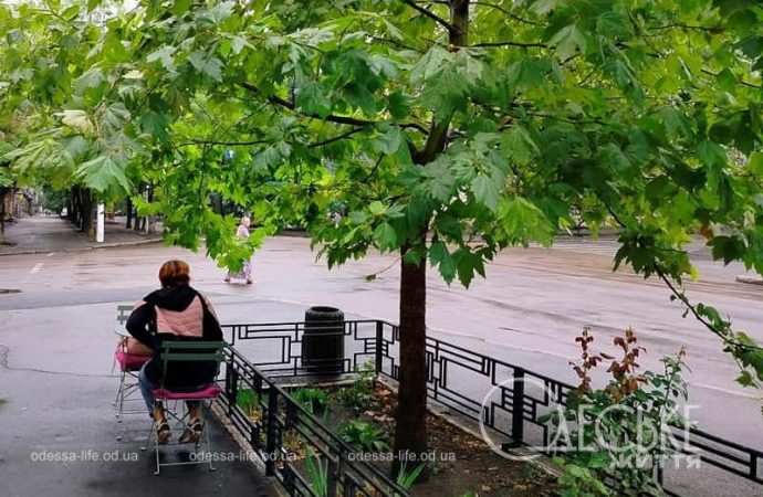 Одесса после осеннего ливня, лавочка