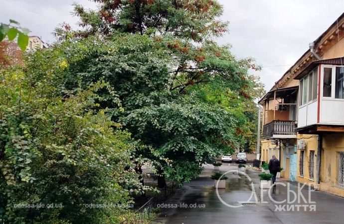 Одесса после осеннего ливня, улица
