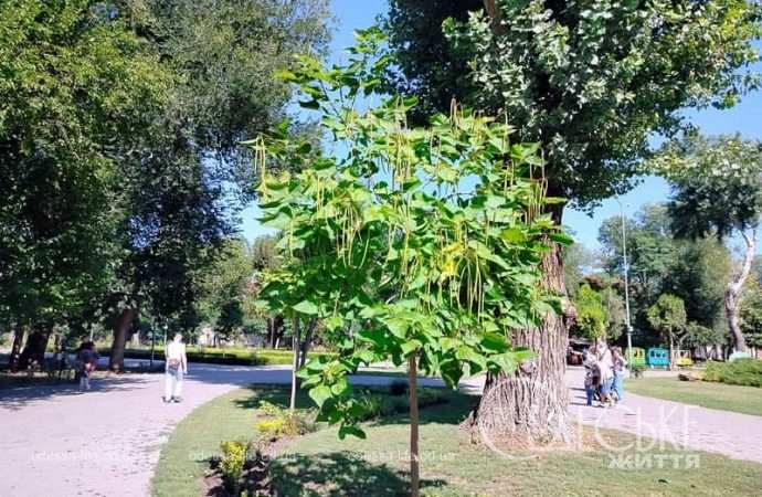 Осень в одесском Преображенском парке-6