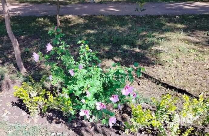 Осень в одесском Преображенском парке-11