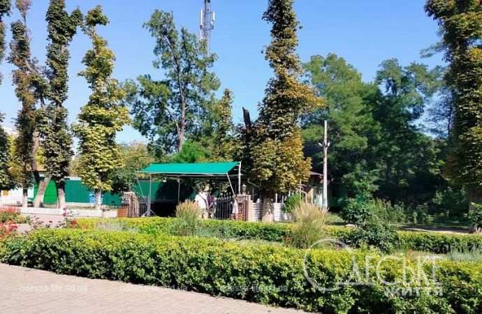 Осень в одесском Преображенском парке, аллея