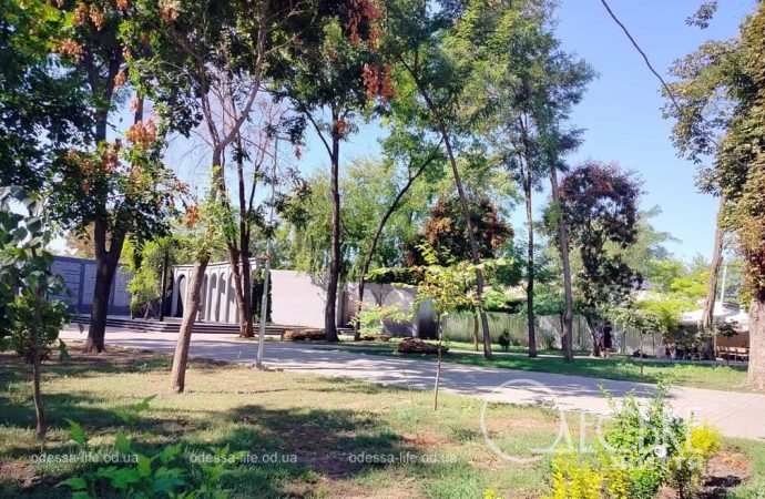 Осень в одесском Преображенском парке-3