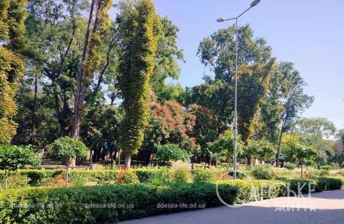 Осень в одесском Преображенском парке-4