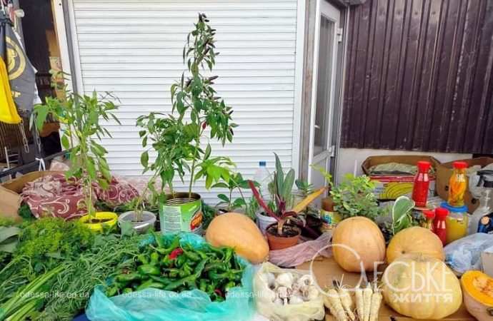 На Привозе в сентябре: осенний натюрморт