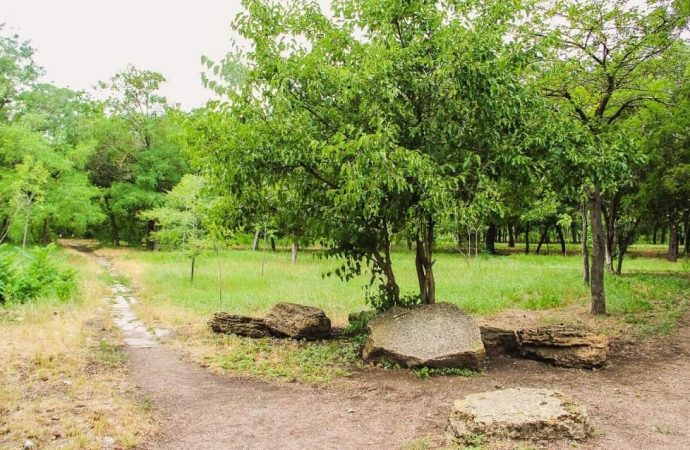 В Одесі затвердили межі парку Савицького і двох скверів